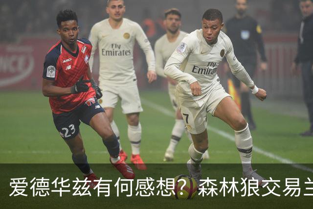 爱德华兹有何感想？森林狼交易兰德尔断臂求生 只为续约道苏姆？
